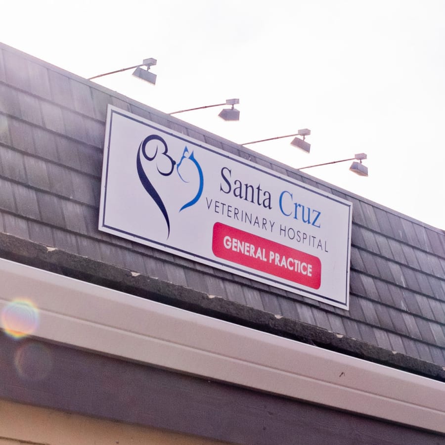 Santa Cruz Veterinary Hospital in Capitola