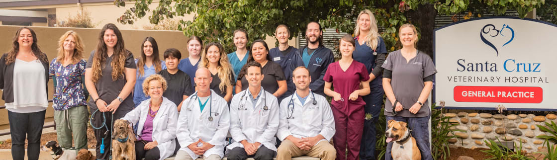 Santa Cruz veterinary hospital veterinarians